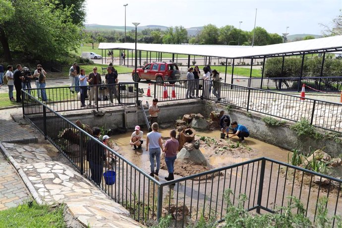 El 'Estanque Loyola' durante su proceso de naturalización.