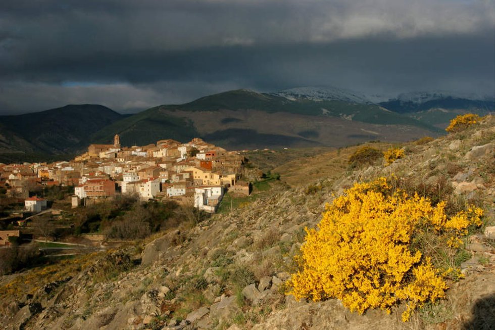 Municipio de Alcalá de Moncayo, en la provincia de Zaragoza.