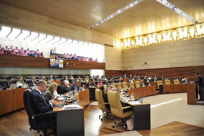 Miembros de colectivos LGTBI asisten al pleno de la Asamblea de Extremadura en el que se debate la propuesta de Vox para derogar la ley LGTBI extremeña