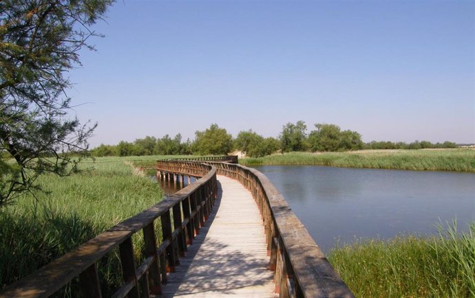 Archivo - Tablas de Daimiel