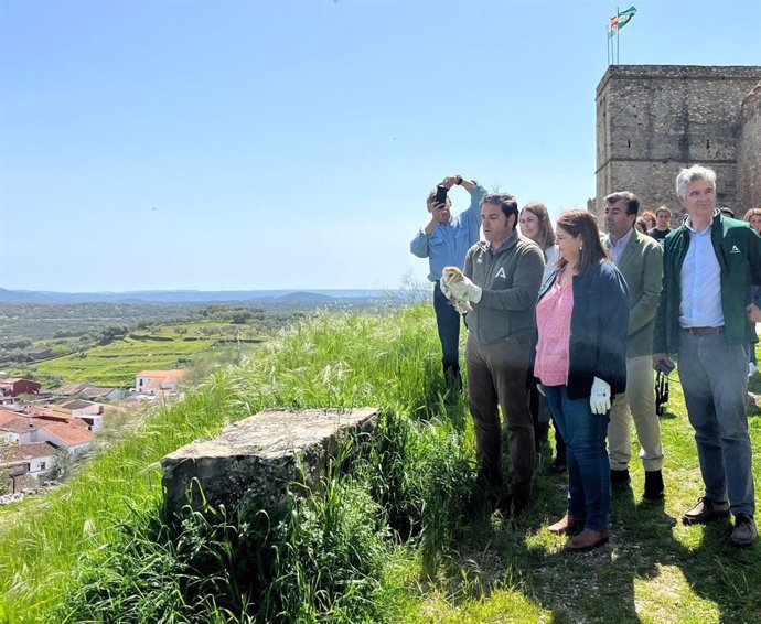 Suelta de un cárabo y una lechuza en Santa Olalla del Cala.