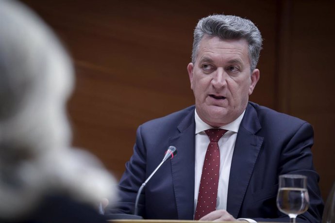 El conseller de Medio Ambiente, Infraestructuras y Territorio, Vicente Martínez Mus