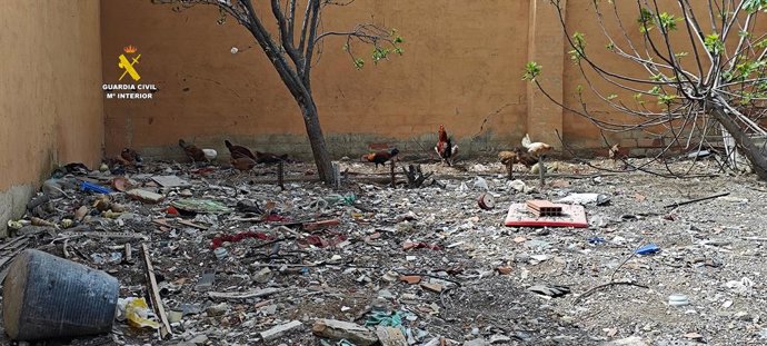 Imatge del magatzem de Massamagrell