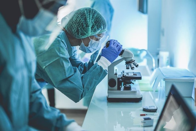 Archivo - Arquivo - Cientistas trabalhando no laboratório