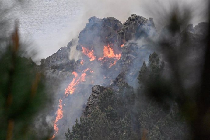 Operativos trabajan en el incendio forestal de Jaizkibel, a 20 de marzo de 2025, en Pasaia, Guipúzcoa, País Vasco (España). 