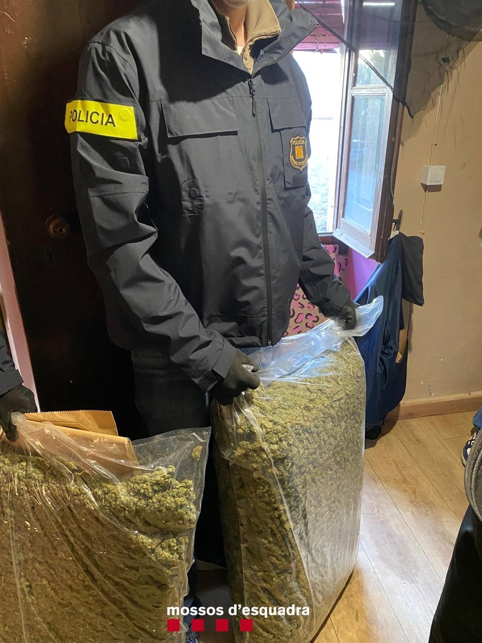 Cogollos envasados al vacío incautados en la entrada al domicilio.