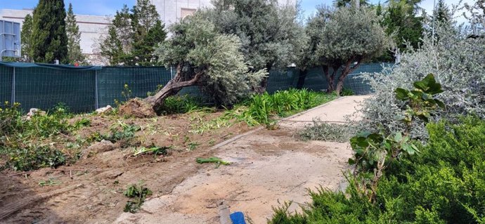 Vecinos de San Pascual critican la "ausencia de información" ante trabajos de cantón.