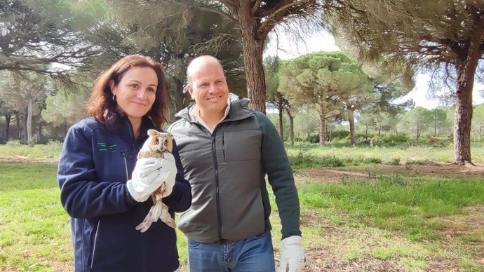 Oscar Curtido con una de las aves que se han soltado en Puerto Real tras su recuperación en el CREA.