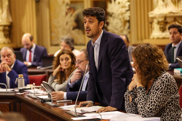 Archivo - El diputado de MÉS per Mallorca Ferran Rosa interviene en el pleno del Parlament.
