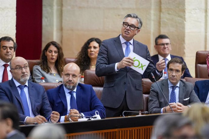 El portavoz del Grupo Vox en Andalucía, Manuel Gavira, en una imagen de archivo en el Pleno del Parlamento.