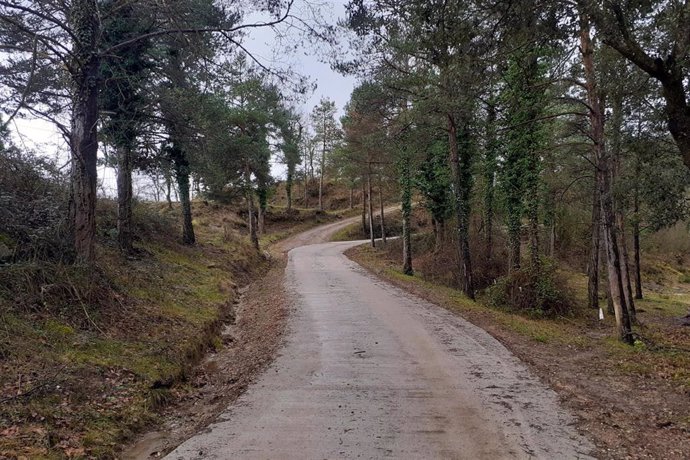 Actuaciones de gestión forestal en caminos