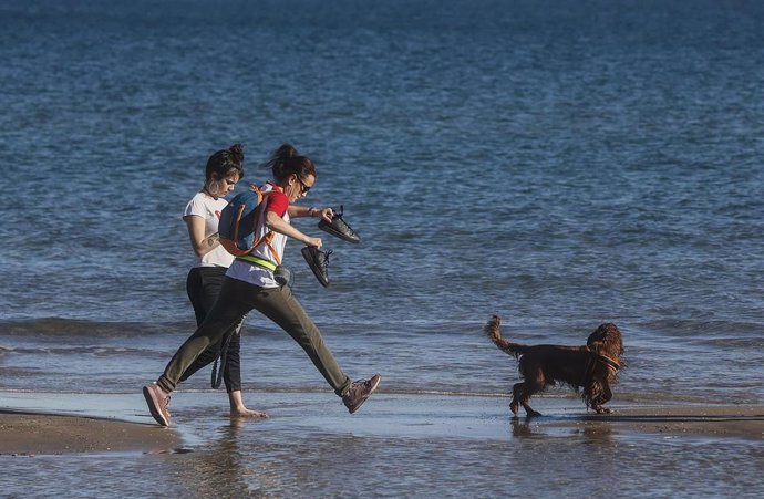 Archivo - Dos chicas pasean con un perro por la orilla de la playa.