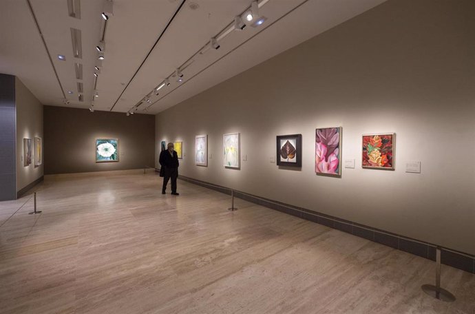 Archivo - Una persona observa las obras que componen la retrospectiva de Georgia O’Keeffe (1887-1986), a 19 de abril de 2021, en el Museo Thyssen-Bornemisza, Madrid (España). A través de una selección de aproximadamente 90 obras, el visitante puede sumerg