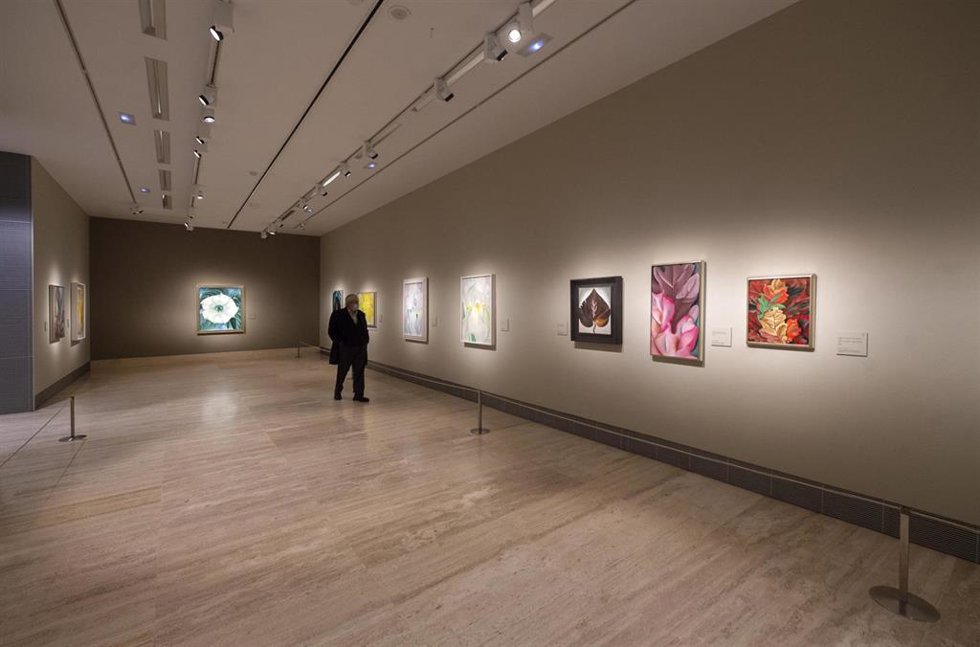 Archivo - Una persona observa las obras que componen la retrospectiva de Georgia OKeeffe (1887-1986), a 19 de abril de 2021, en el Museo Thyssen-Bornemisza, Madrid (España). A través de una selección de aproximadamente 90 obras, el visitante puede sume