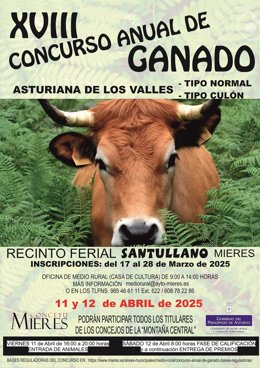 Concurso de ganado.