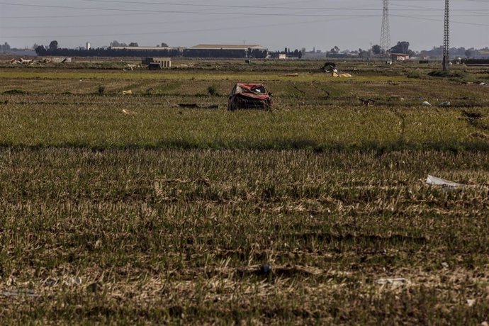 Archivo - Restos de la dana en un campo de arrozales en las inmediaciones de l'Albufera, a un mes del paso de la barrancada por Valencia