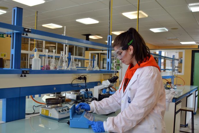 Archivo - Imagen de recurso de una estudiante de FP.