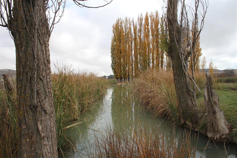 Zona del Alto Quípar