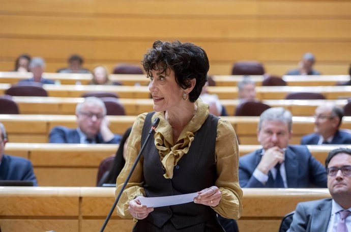 La ministra de Inclusión, Seguridad Social y Migraciones, Elma Saiz, interviene durante una sesión de control en el Senado, a 8 de abril de 2025, en Madrid (España). 