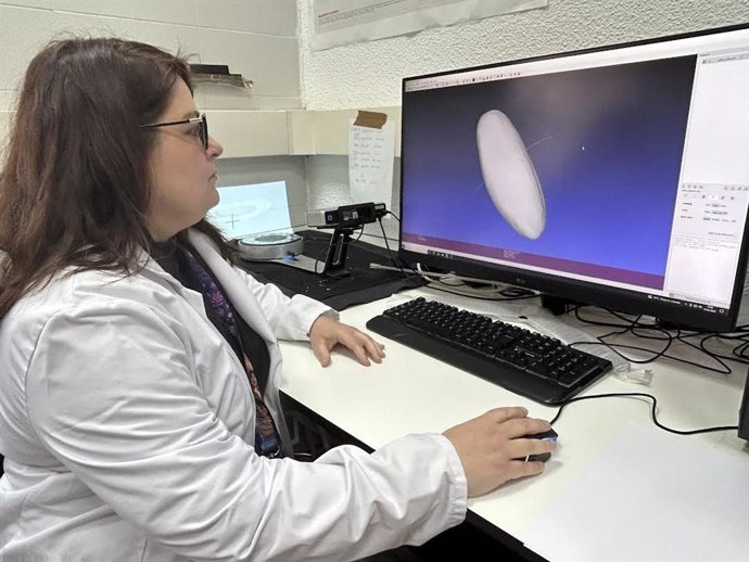 Investigadores de la UA estudian la calidad nutricional del piñón ibérico para evitar fraudes comerciales