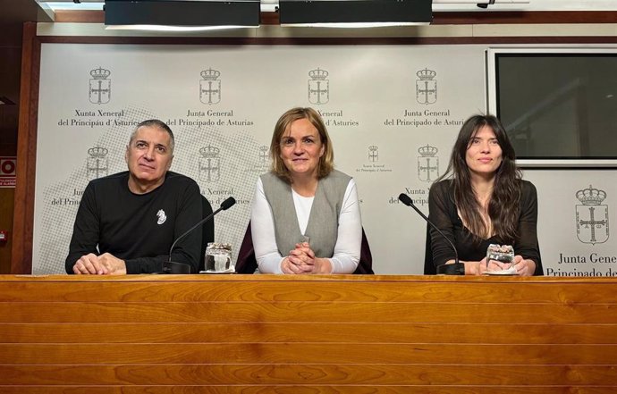 Rueda de prensa de la diputada del Grupo Mixto, Covadonga Tomé, en la sala de prensa de la Junta General del Principado.
