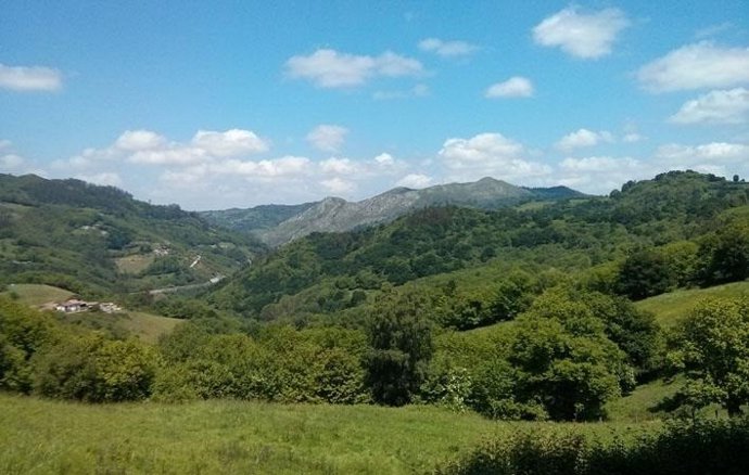 Archivo - Zona rural de Asturias.