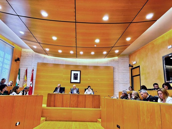 Imagen del último pleno del Ayuntamiento de Dos Hermanas