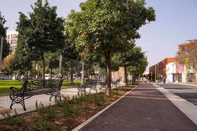 Carril bici por calle Granada.
