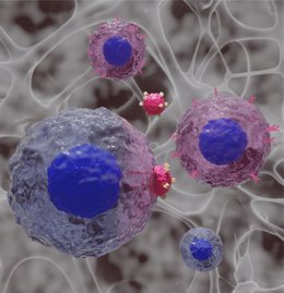 El hidrogel mejora la proliferación de las células CAR-T.