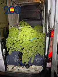 Policía Nacional interviene más de 110 kilos de cogollos de marihuana en un operativo en Alcantarilla (Murcia)
