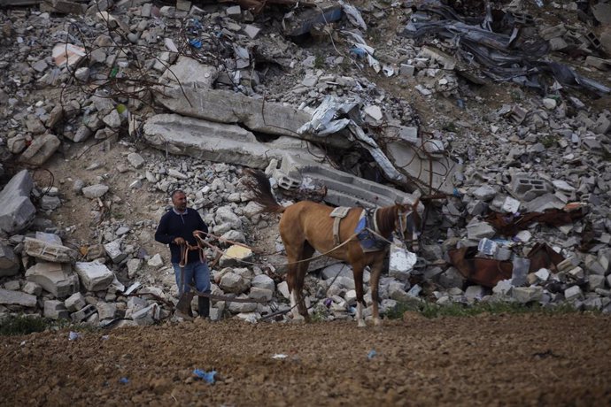 14 April 2025, Palestinian Territories, Al-Bureij: A displaced Palestinian living in makeshift tents due to Israeli war on Gaza, walks with a horse on the rubble of collapsed buildings in Al-Bureij camp. Displaced Palestinians are struggling to survive th