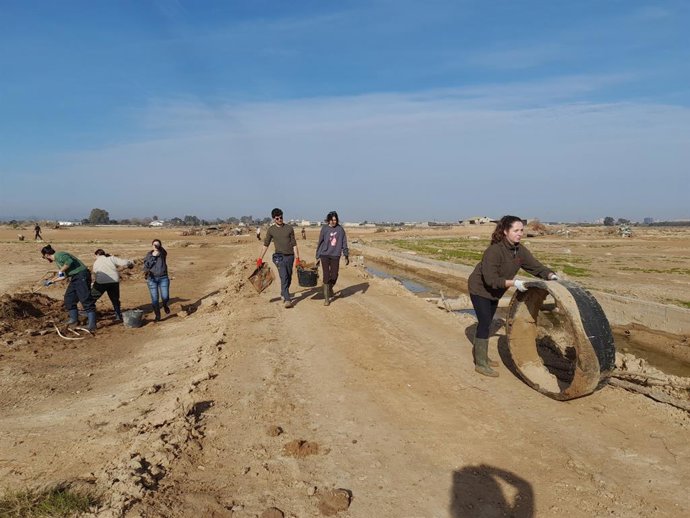 Albufera després de la dana