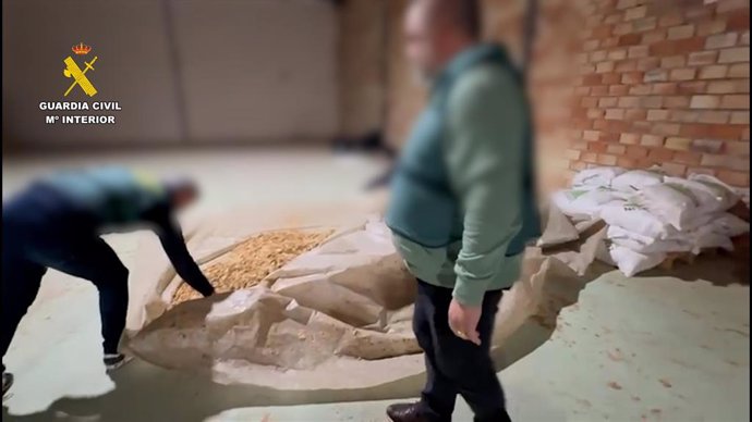 Desmantelada una fábrica ilegal de tabaco en Lucena con tres detenidos y 2.600 kilos de hojas.