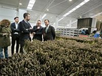 Junta convocará nuevas ayudas para la modernización del sector agroalimentario con un montante de 88 millones de euros