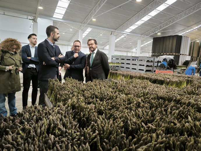 El consejero de Agricultura, Pesca, Agua y Desarrollo Rural, Ramón Fernández-Pacheco, ha visitado la Cooperativa Agrícola San Francisco (Cosafra) en Huétor Tájar (Granada)