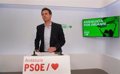 PSOE-A critica que la Junta sólo dé "cinco días en plena Semana Santa" a 178 municipios para pedir ayudas por la DANA