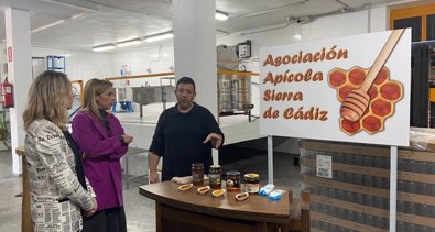 Cádiz al día