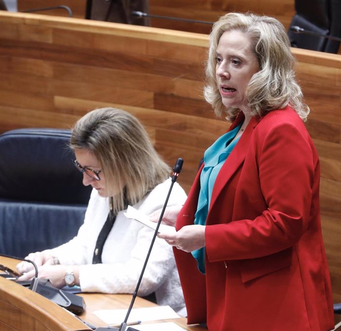 Archivo - La consejera de Industria, Belarmina Díaz en una sesión del pleno de la Junta del mes de marzo. 