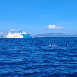 El nadador del Máster Torrijos, Mikel Osa, completó el cruce a nado del Estrecho de Gibraltar