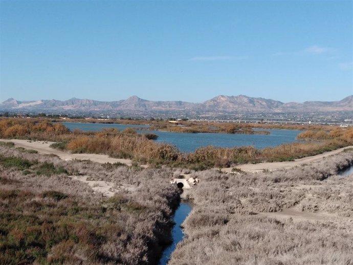 Archivo - Imagen de archivo del Parque Natural de El Hondo
