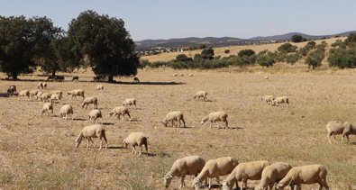 Extremadura