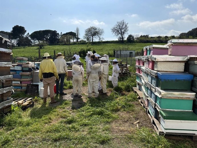 Alumnos se forman apicultura en las escuelas agrarias de Catalunya