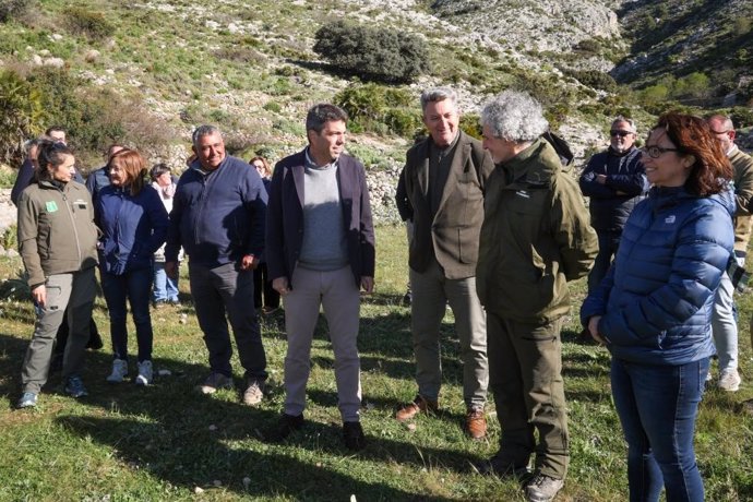 Mazón destaca la ayudas al pastoreo para favorecer la prevención de incendios forestales e impulsar la ganadería extensiva