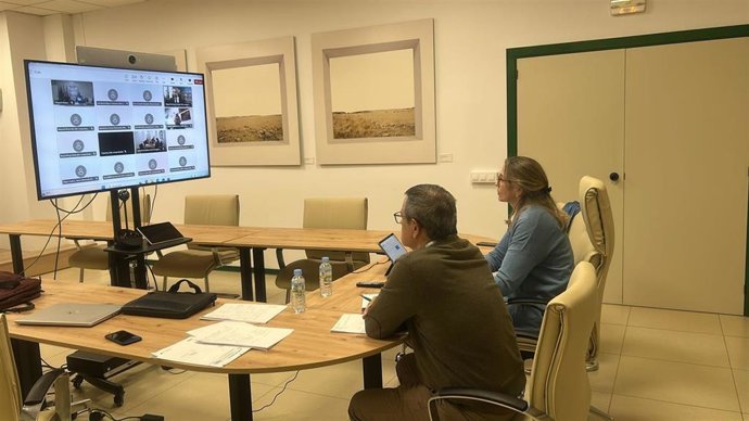 La directora general de Industria, Energía y Minas, Raquel Pastor, participa en una videoconferencia