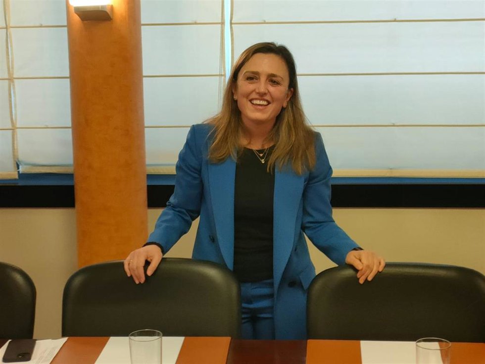 Archivo - La presidenta de FADE, María Calvo.