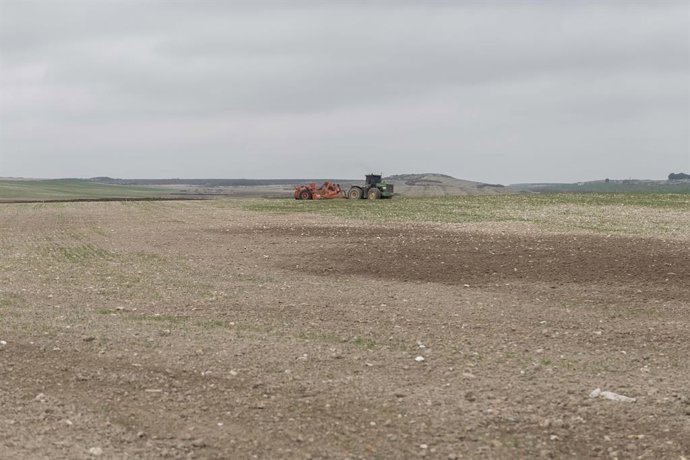 Archivo - Las ayudas abonadas se destinan a la instalación de jóvenes y a la modernización de explotaciones.
