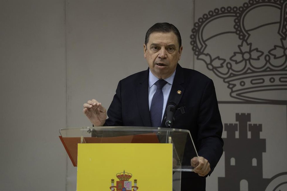 El ministro de Agricultura, Pesca y Alimentación, Luis Planas, durante su rueda de prensa en Valncia para anunciar una nueva línea de ayudas a afectdos por la dana dentro del sector agrícola. 