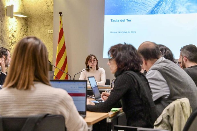 Paneque ha presidido la sesión de seguimiento de los acuerdos del Ter este miércoles