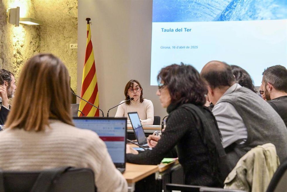 Paneque ha presidido la sesión de seguimiento de los acuerdos del Ter este miércoles