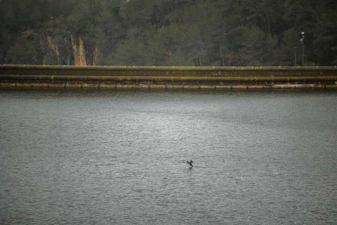 Vista del embalse de Foix, en una imagen de archivo